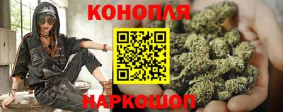 стаф Донецк