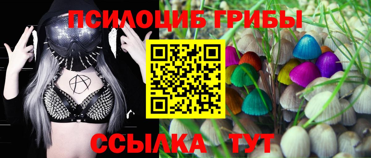Галлюциногенные грибы прущие грибы  Псилоцибиновые грибы GOLDEN TEACHER  Вход с VPN  Лыткарино 