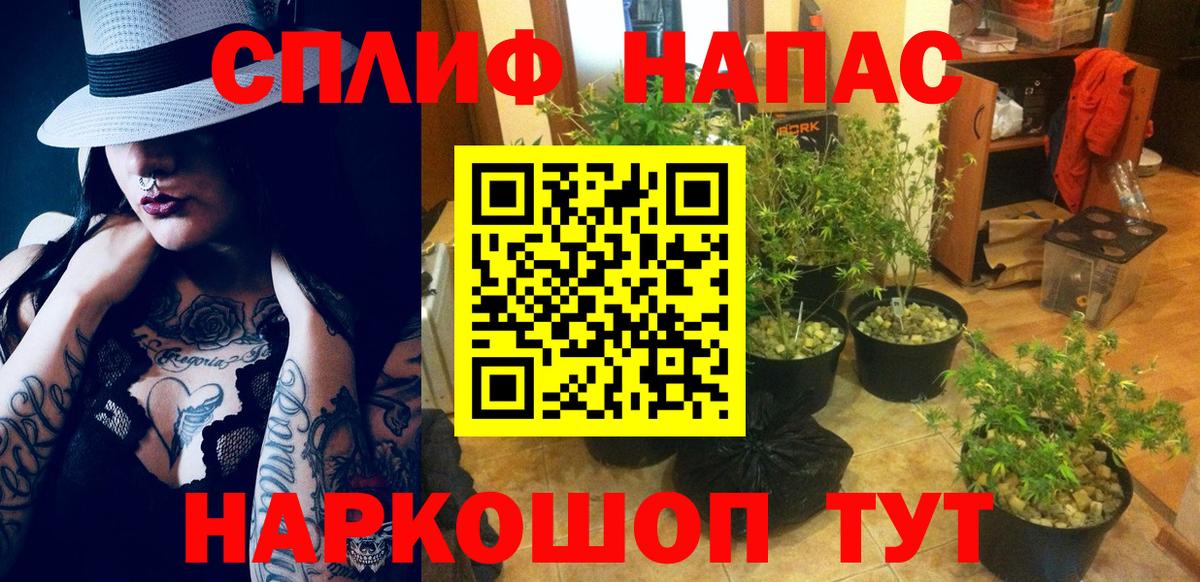 Каннабис AK-47 Лыткарино